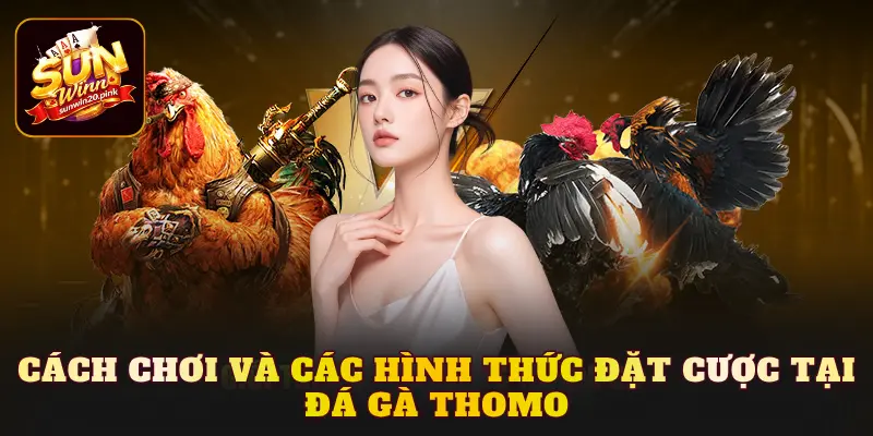 Cách chơi và các hình thức đặt cược tại Đá gà Thomo