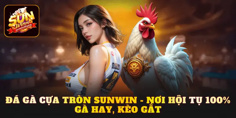 đá gà cựa tròn
