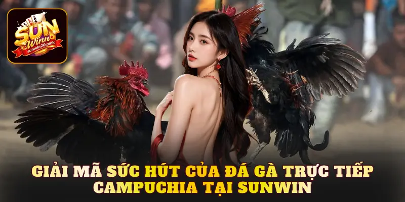 Giải mã sức hút của đá gà trực tiếp Campuchia tại Sunwin