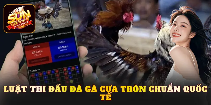 Luật thi đấu đá gà cựa tròn chuẩn quốc tế