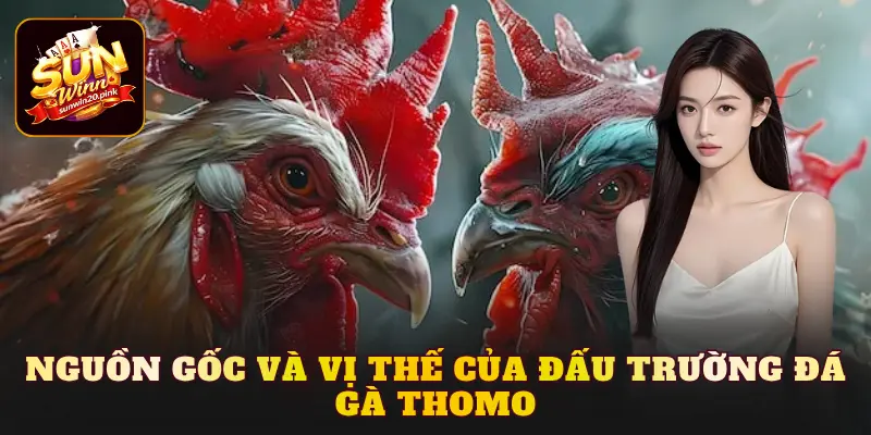 Nguồn gốc và vị thế của đấu trường Đá gà Thomo