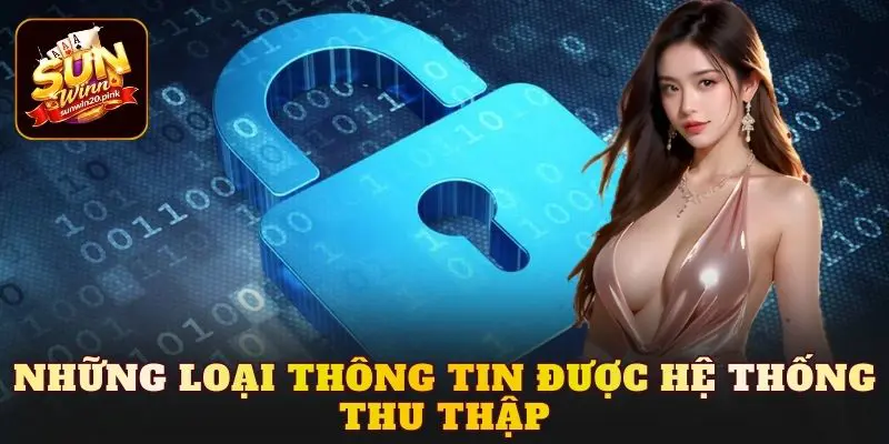 Những loại thông tin được hệ thống thu thập