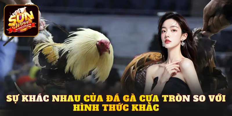 Sự khác nhau của đá gà cựa tròn so với hình thức khác